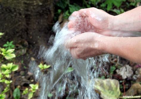 Acque minerali, quasi tutte contengono pesticidi. Il test del .